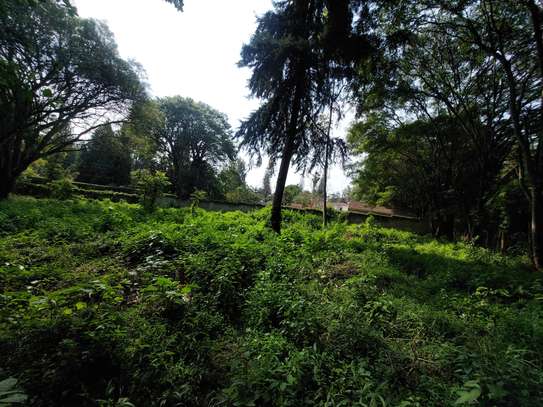 Residential Land at Old Kitisuru image 1