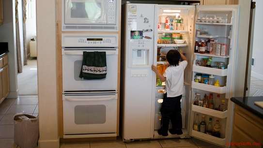 Appliance Repairs |  On Site Fridge Repairs - On Site - On Time - Guaranteed image 12