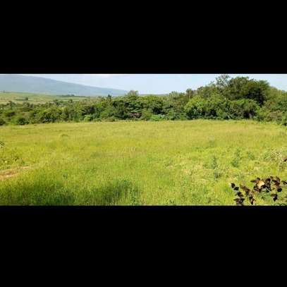 1 Acre land for sale image 2
