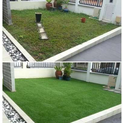 Nice green grass carpets. image 2