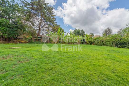 0.5 ac Land in Rosslyn image 2