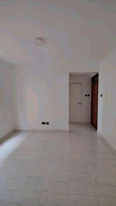 1bedroom  to let in thindigua image 6