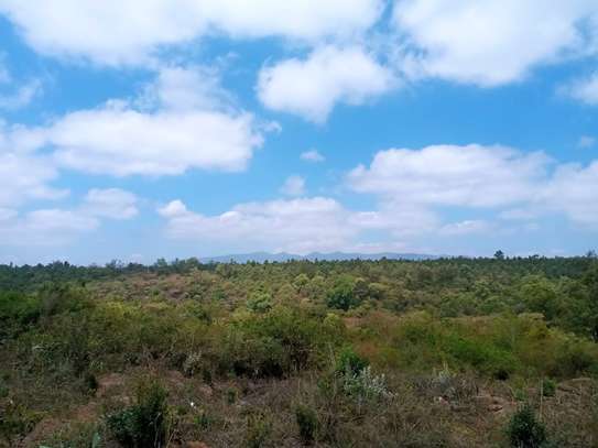 8acres for lease along Ngong Karen area image 11