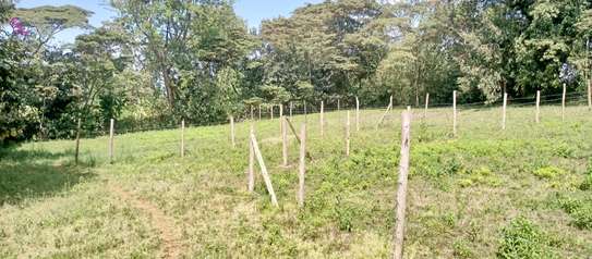 Prime Land in Kahara/Matasia image 5