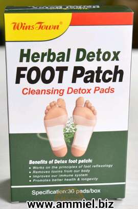 Wins Town Herbal Detox FOOT Patch 30 Pads image 2