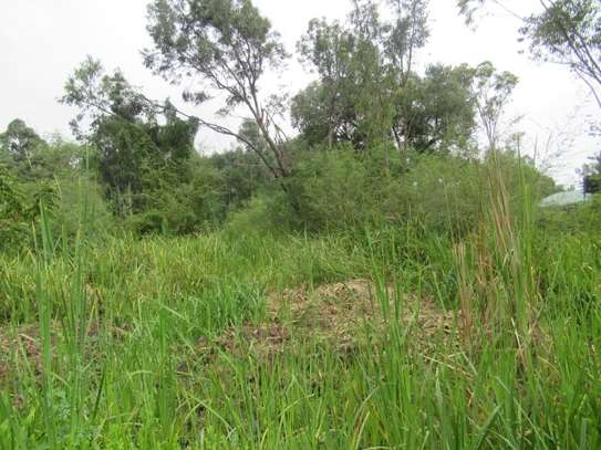 Residential Land at Ridgeways Ln image 5