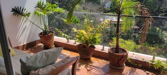 3 Bed Apartment with En Suite in Parklands image 8
