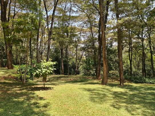 4 Bed House in Kitisuru image 3