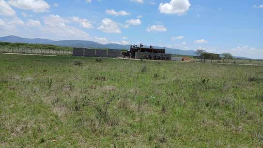 Gem court gardens  joska komarock image 4