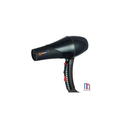 Sayona Professional & Commercial Hair Dryer image 1