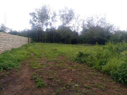 DIANI RESIDENTIAL PLOT ON SALE image 2