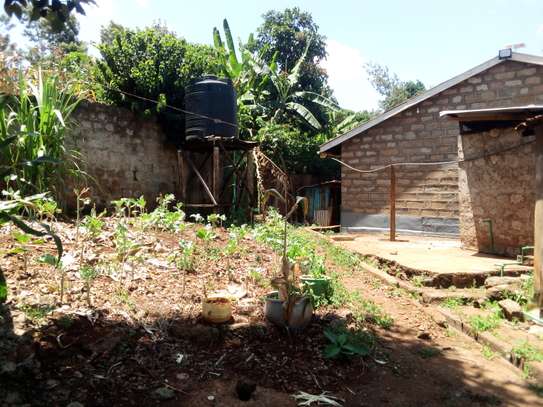 1/2 AN ACRE PLOT FOR SALE IN THIKA (ALONG THIKA MANGU ROAD) image 9