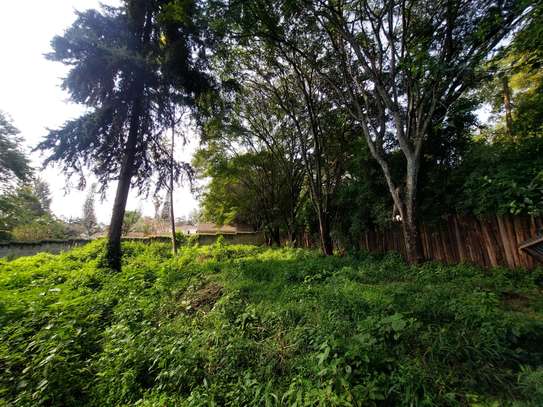 Residential Land at Old Kitisuru image 14