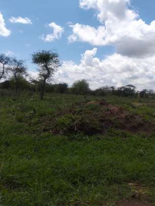 Land for sale image 3