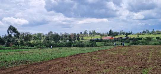 Prime plots in Nakuru image 1