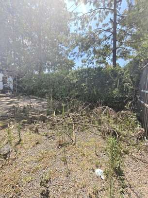 Commercial Property with Parking in Karen image 4