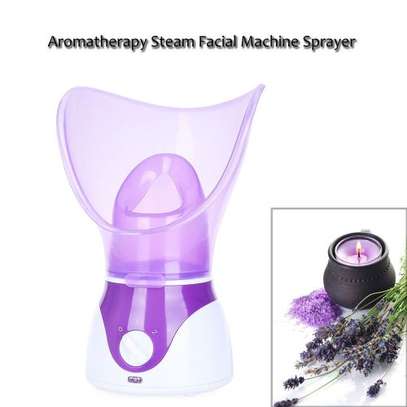 Deep Cleaning Facial Cleaner Bety Face Steaming Device Facial Steamer Machine Facial Thermal Sprayer Skin Care Tool( ) image 2