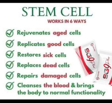 SG9 Plus Advanced.Your Ultimate Stem Cell Product For You. image 4
