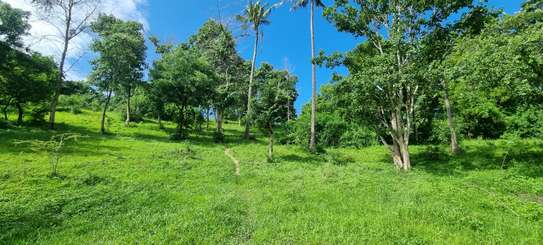 2.5 ac Land at Mtwapa Creekside image 17