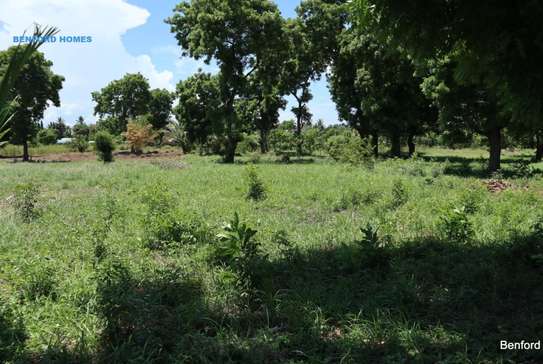 Land in Mtwapa image 4