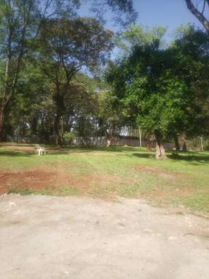 Beautiful Half Acre Land in Karen image 3