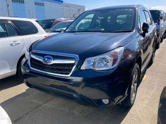 BLACK FORESTER  (HIRE PURCHASE ACCEPTED image 2