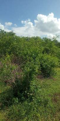 30 Acres of Virgin Land In Makindu Are For Sale image 5