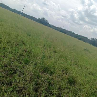 Land for sale in Lenchani image 4