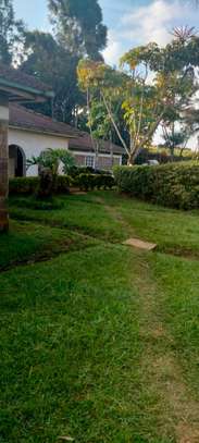 4 Bed House with En Suite in Ngong image 6