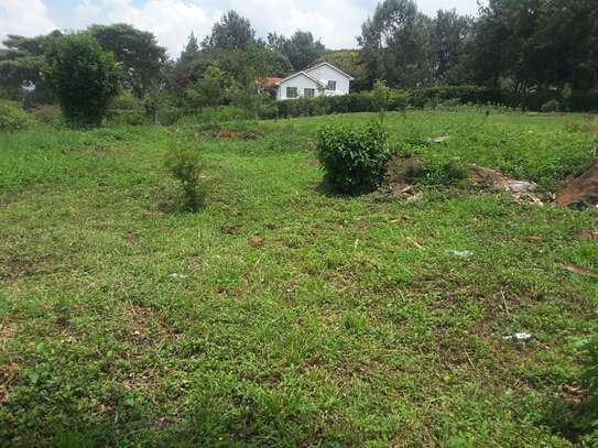 Lovely One Acre in Karen image 13