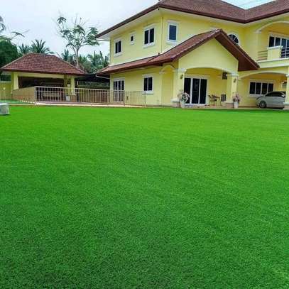 QUALITY AFFORDABLE GRASS  CARPETS image 1