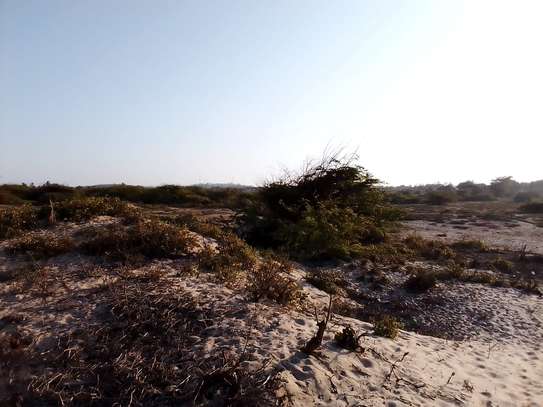 6 Acres beachfront land  for sale in Mambrui,Malindi image 6