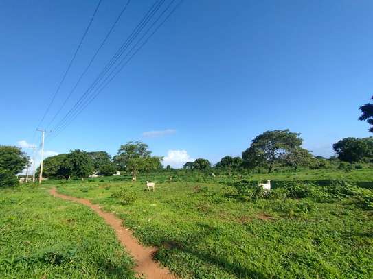 Residential Land at Mtondia Kilifi image 1