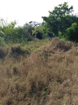 1/4 acre Land for sale in diani image 3