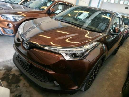 Toyota CH-R Brown 🟤🤎 image 1