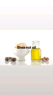 Shea Nut Oil image 1