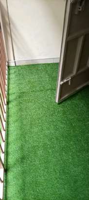Grass carpets grasS carpetS image 3