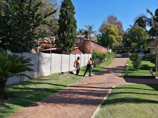 Professional Tree Removal - Contact Us For a Free Estimate image 13