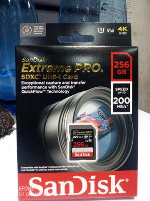 SD 256gb Extreme Pro image 3