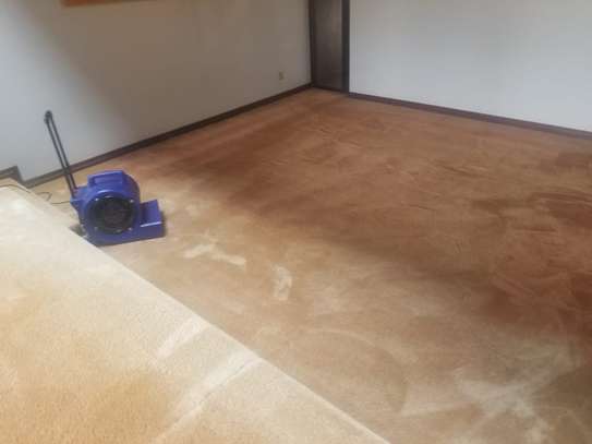 Ella Office Carpet Cleaning & Drying Services in Nairobi. image 3