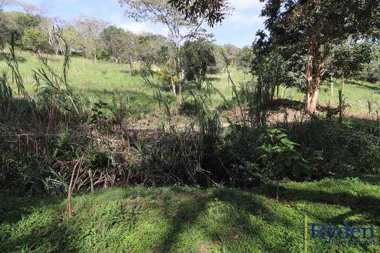 Land at Off Koibotos Road image 8