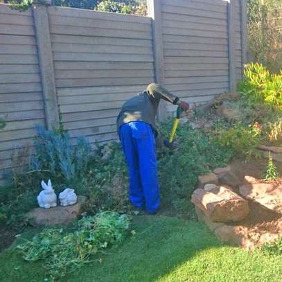 Hire Skilled Housekeepers &  Domestic Workers |  Gardening Services | Mattress Cleaning | Window Cleaning | Carpet and Upholstery Cleaning | Rubbish Removal | Professional House Cleaners & Nannies.Call now image 2