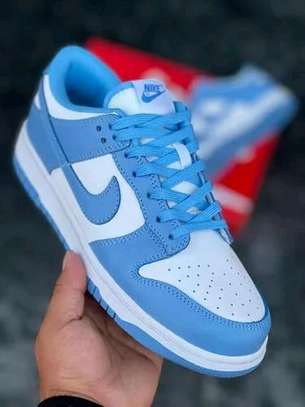 Nike SB low cut
37-45
 with extra laces image 4