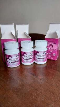 Bio1 Cardiol image 2