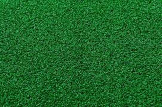 WALL TO WALL GRASS CARPET image 1