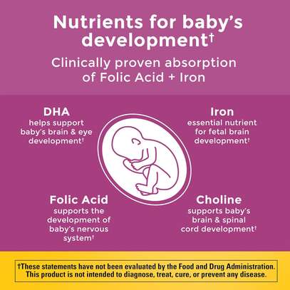 Nature Made Prenatal Vitamin Softgels + Choline Capsules image 2