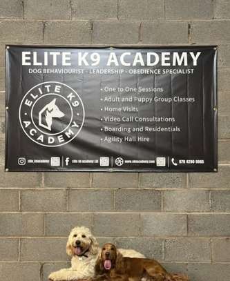Elite K9 Academy Trained Guard Dog image 3