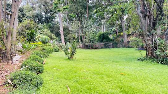 4 Bed Villa with En Suite in Muthaiga image 30