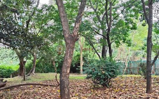 Residential Land at Raptor Road image 11