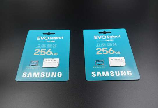 SAMSUNG EVO Select Plus Micro SD Memory Card + Adapter image 2